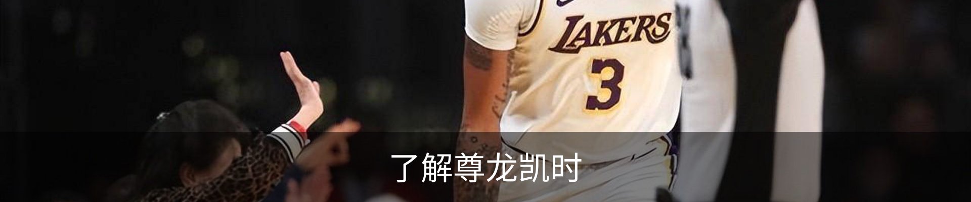 了解尊龙凯时
