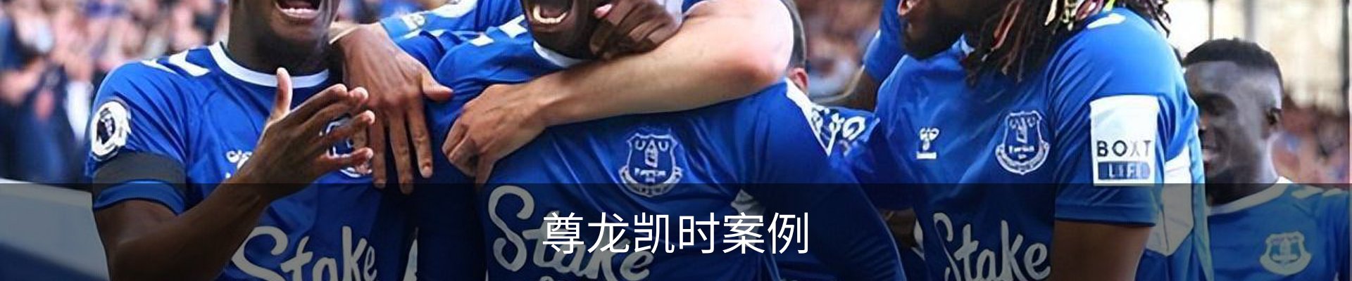 尊龙凯时案例